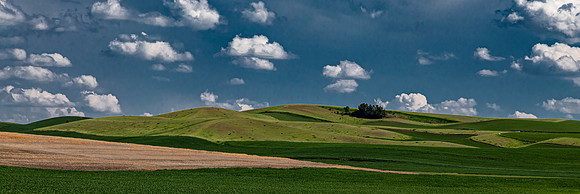 Palouse Hills Farmland