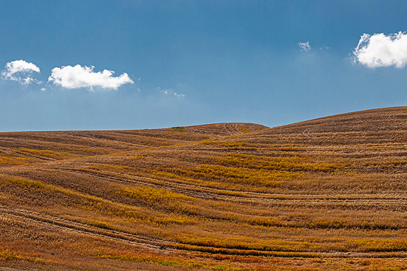 Rolling Palouse Hills with Harvested Wheat Fields