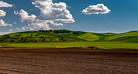 Plowed Field and Green Hills in Washington State