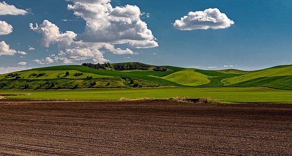 Plowed Field and Green Hills in Washington State