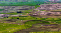 Rolling Palouse Hills Landscape