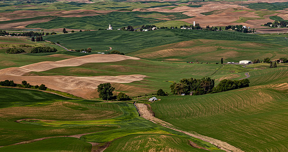 Palouse Region Rolling Hills
