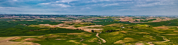 Rolling Hills and Fields Panorama