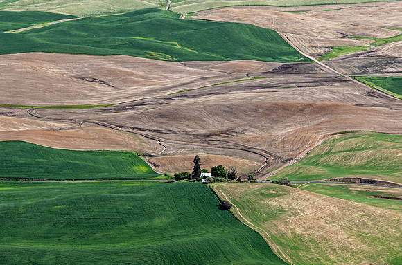 Rolling Palouse Hills Farm Landscape