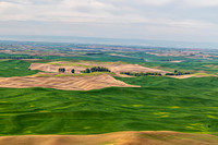 Rolling Hills of Palouse Farmland