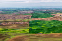 Palouse Rolling Hills and Agricultural Fields Landscape