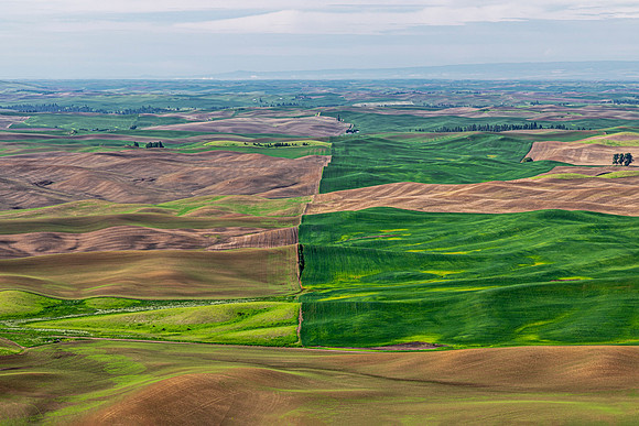 Palouse Rolling Hills and Agricultural Fields Landscape