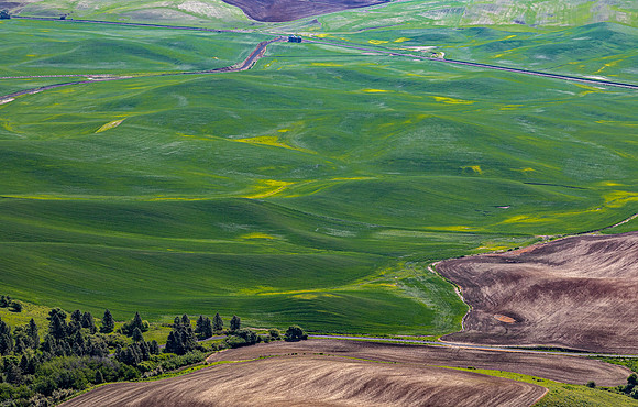 Aerial View of Rolling Agricultural Fields