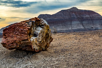 The Petrified Forest NP