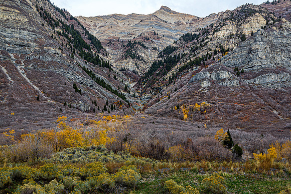 Autumn Mountain Landscape in Orem, Utah