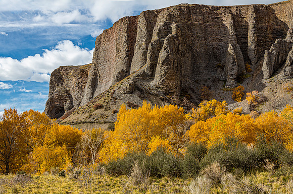 Autumn Cliffs and Golden Trees