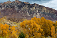 Autumn Mountains and Golden Trees
