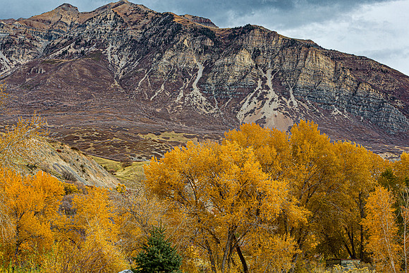 Autumn Mountains and Golden Trees
