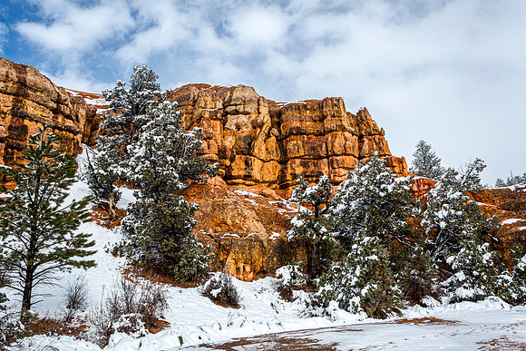 Winter Landscape with Snow-Covered Trees and Red Rocks