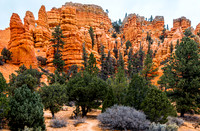 Red Rock Formations and Green Trees Landscape