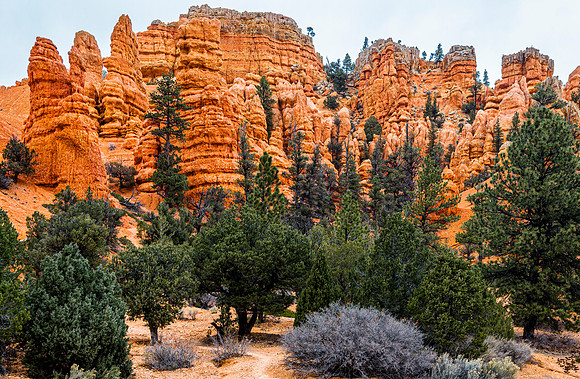 Red Rock Formations and Green Trees Landscape