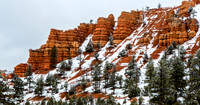 Snowy Red Rock Formations and Evergreen Trees