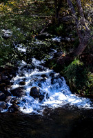 Small Waterfall in Wooded Area