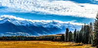 Swan Valley MT