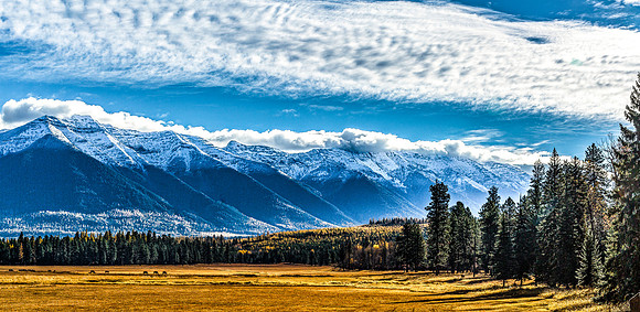 Snow-capped Mountains, Autumn Meadow, and Forest Landscape