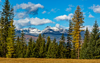 Autumn Mountain Landscape with Evergreen and Deciduous Trees