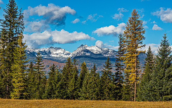 Autumn Mountain Landscape with Evergreen and Deciduous Trees