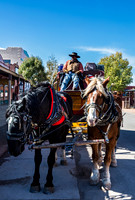 Man Driving Horse-Drawn Carriage