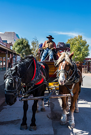 Man Driving Horse-Drawn Carriage