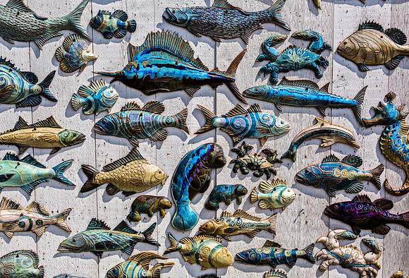 Colorful Ceramic Marine Life Decorations on Wood Wall