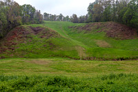 Green Grassy Hills and Wooded Landscape