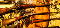 Vintage Rifles Displayed in Collection