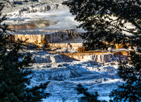 Mammoth Hot Springs Terraces Through Trees