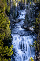 Cascading Waterfalls in Pine Forest