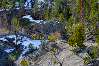 Rocky Mountain Landscape with Snow and Evergreen Trees