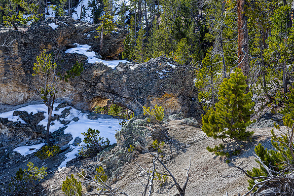 Rocky Mountain Landscape with Snow and Evergreen Trees