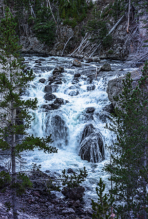 Cascading River Through Forest