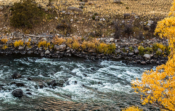 Autumn River Flowing Over Rocks