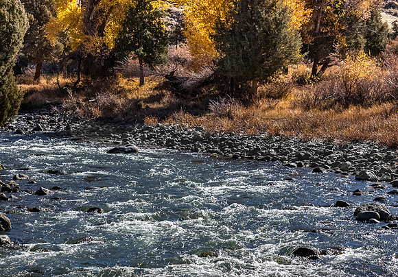 Autumn River Scene