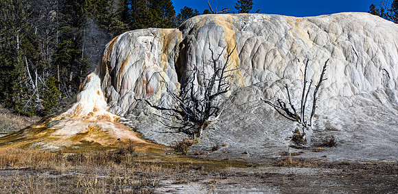 Mammoth Hot Springs Terraces