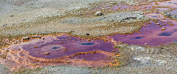 Geothermal Pool with Bacterial Mats