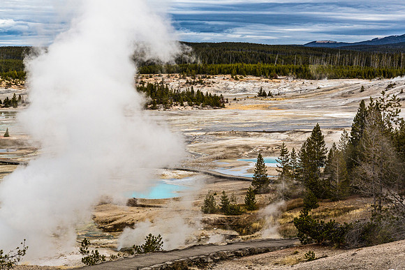 Geothermal Landscape with Hot Springs and Steam