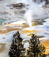 Yellowstone NP