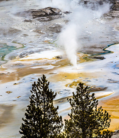 Geyser Eruption in Geothermal Landscape