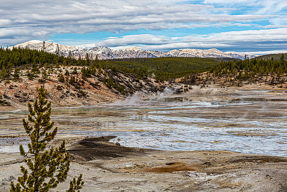 Geothermal Landscape with Steam and Mountains
