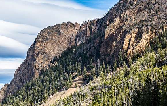 Mountainous Landscape with Evergreen Forest