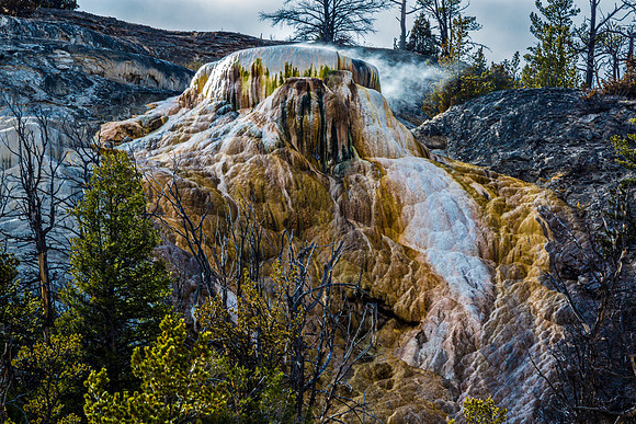 Mammoth Hot Springs Terraces