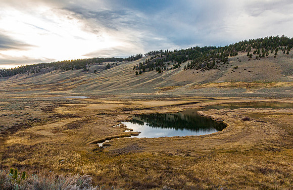 Tranquil Landscape with Grassy Field and Water