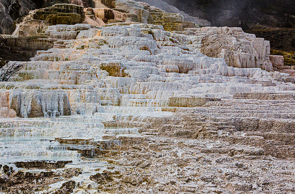 Mammoth Hot Springs Terraces