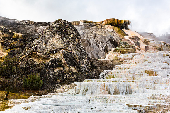 Mammoth Hot Springs Terraces