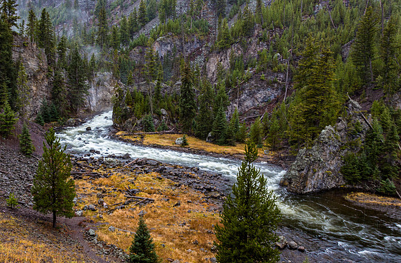 River with Rapids in a Forested Canyon